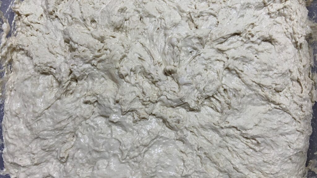 Water and flour mixed into a shaggy dough.