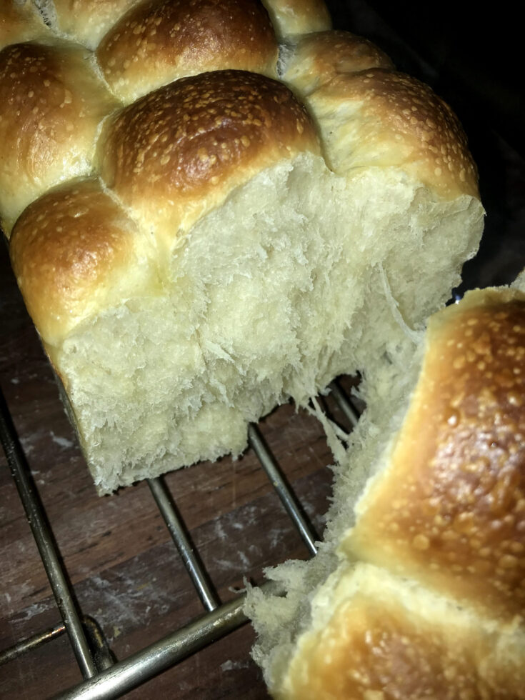 Sweet Sourdough Dinner Rolls or South African 'Boerebeskuit' cooling on top a cooling rack