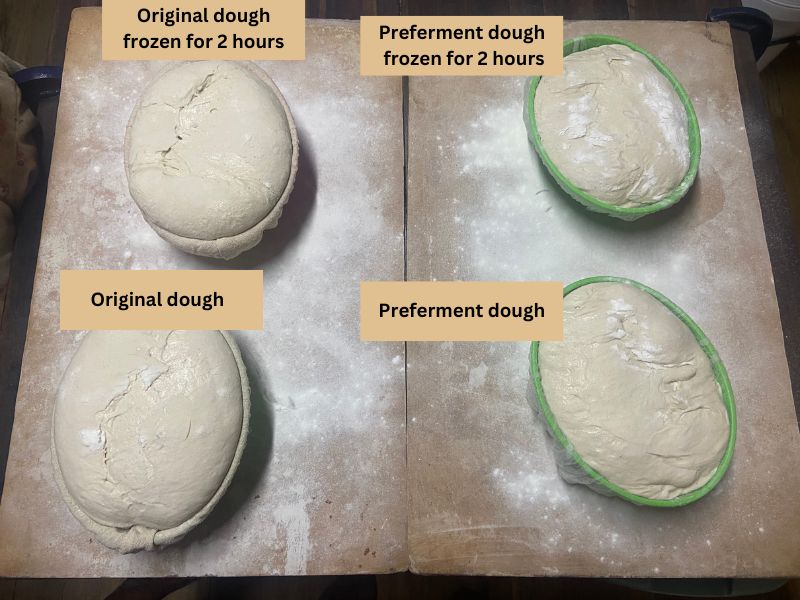 four different experiments for sourdough that fermented too far