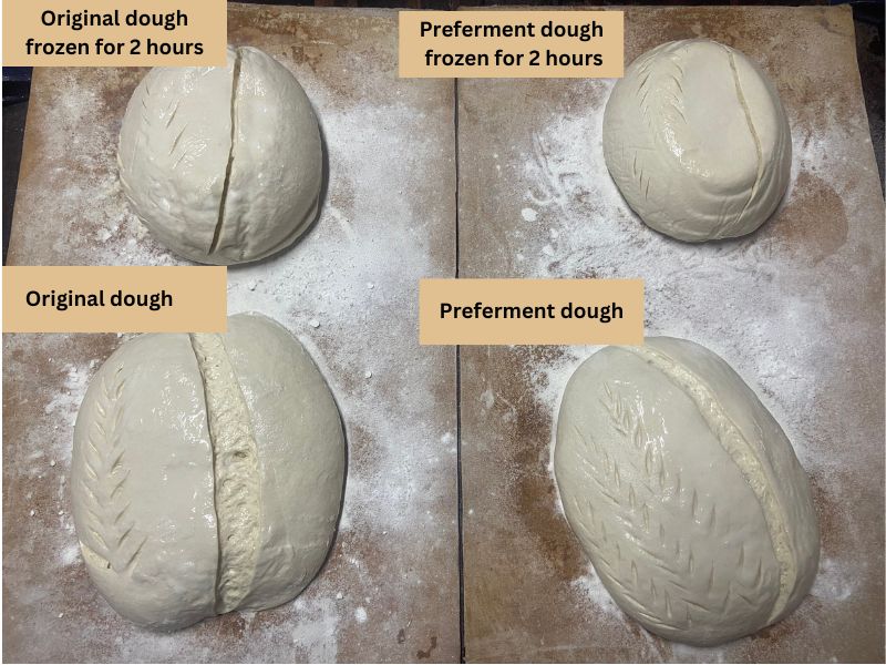 four different sourdough, scored