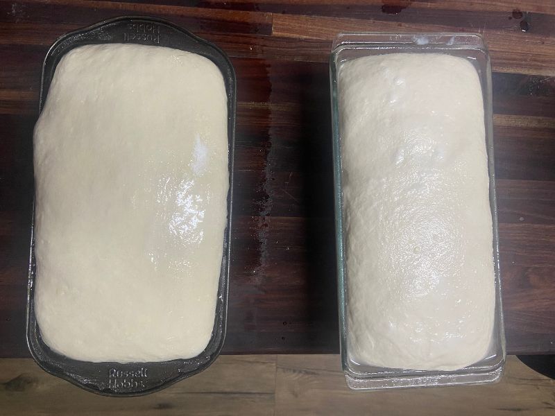 sourdough in bread pans read to bake