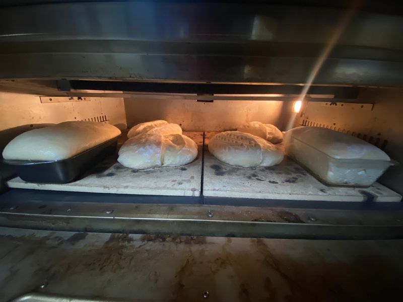 saving my sourdough dough baking in the oven