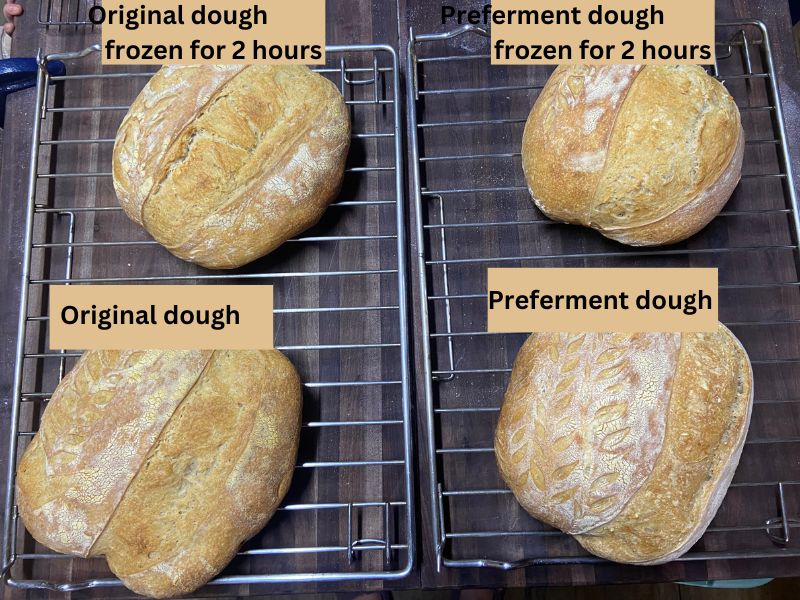 comparing baked sourdough experiments