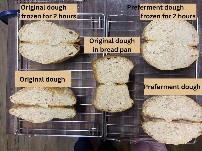 comparing rise and crumb of different sourdough loaves cut open