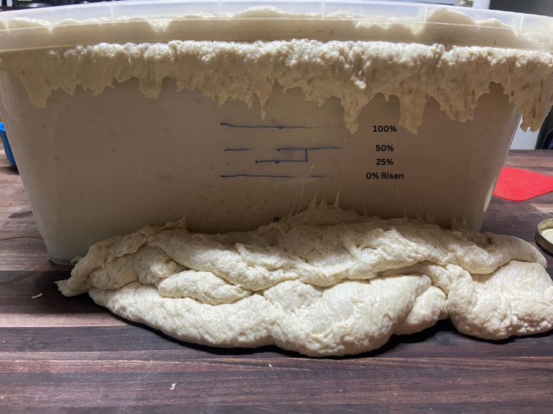 saving my sourdough dough expedition. dough risen way too far, spilled on the table