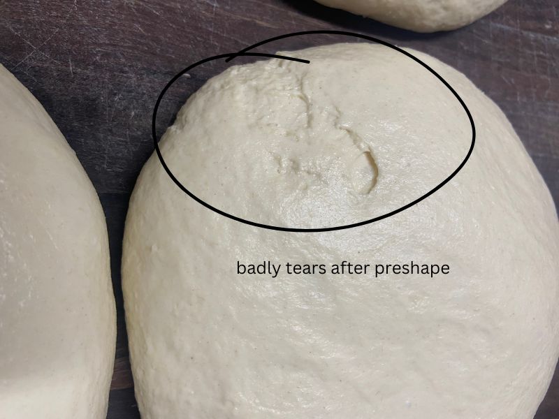 pre-shaped sourdough that tore