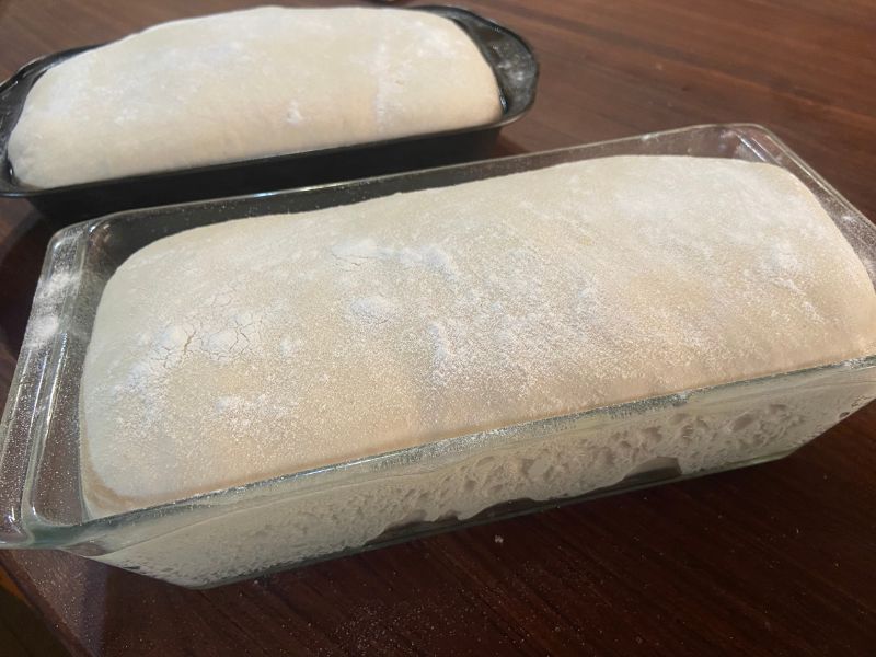 saving my sourdough dough by putting it into bread pans