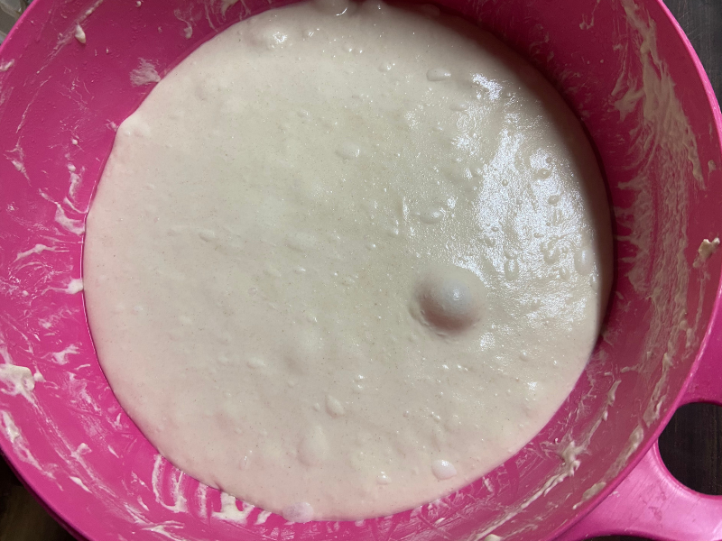 Sourdough Pizza dough ready to perfectly fermented
