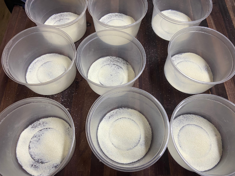 Sourdough Pizza containers sprinkled with semolina flour