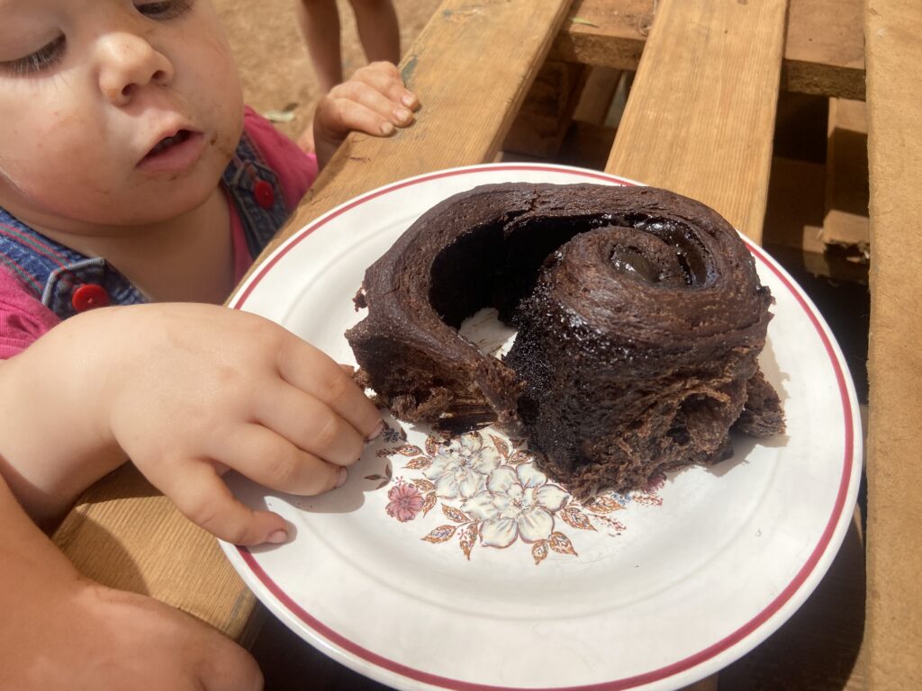 tasting double chocolate sourdough roll