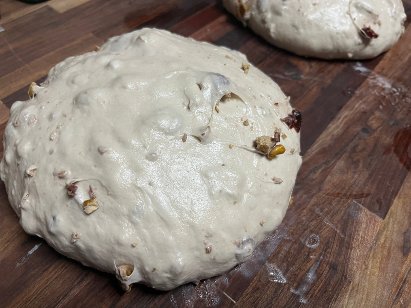 Shaped Cranberry and Pecan Sourdough Bread for the best treat ever